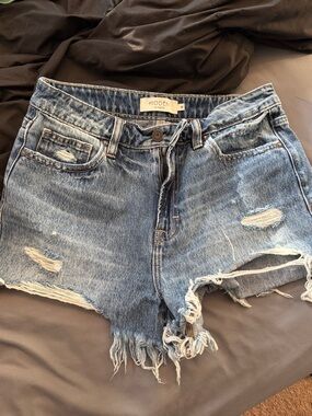 Hidden brand Blue Denim Shorts - High Waist